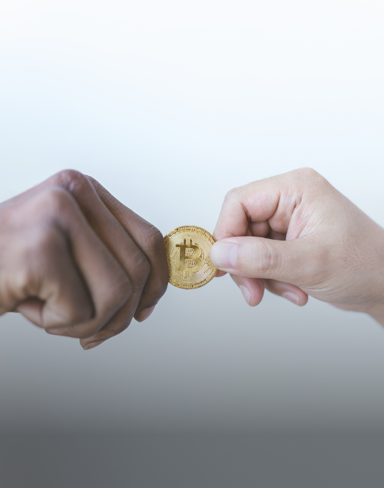 IPV Token 활용 관련 이미지